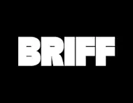 Brussels International Film Festival